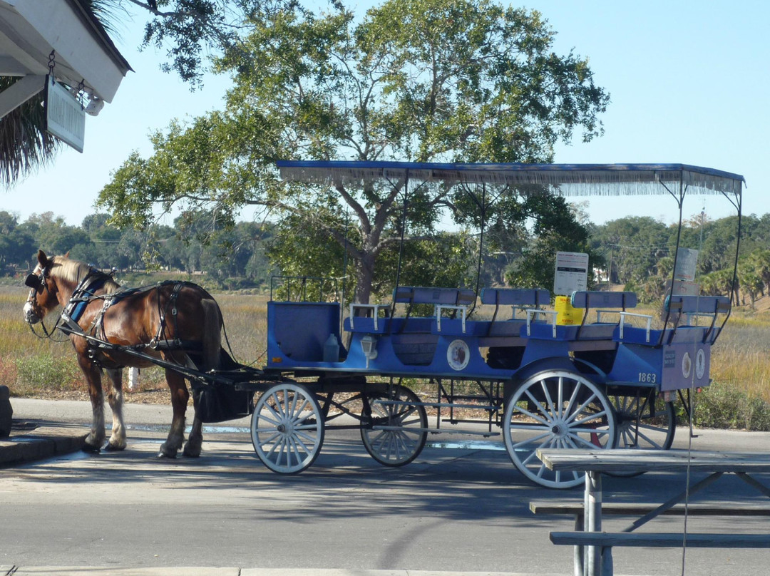 Southurn Rose Buggy Tours-博福特必去景点