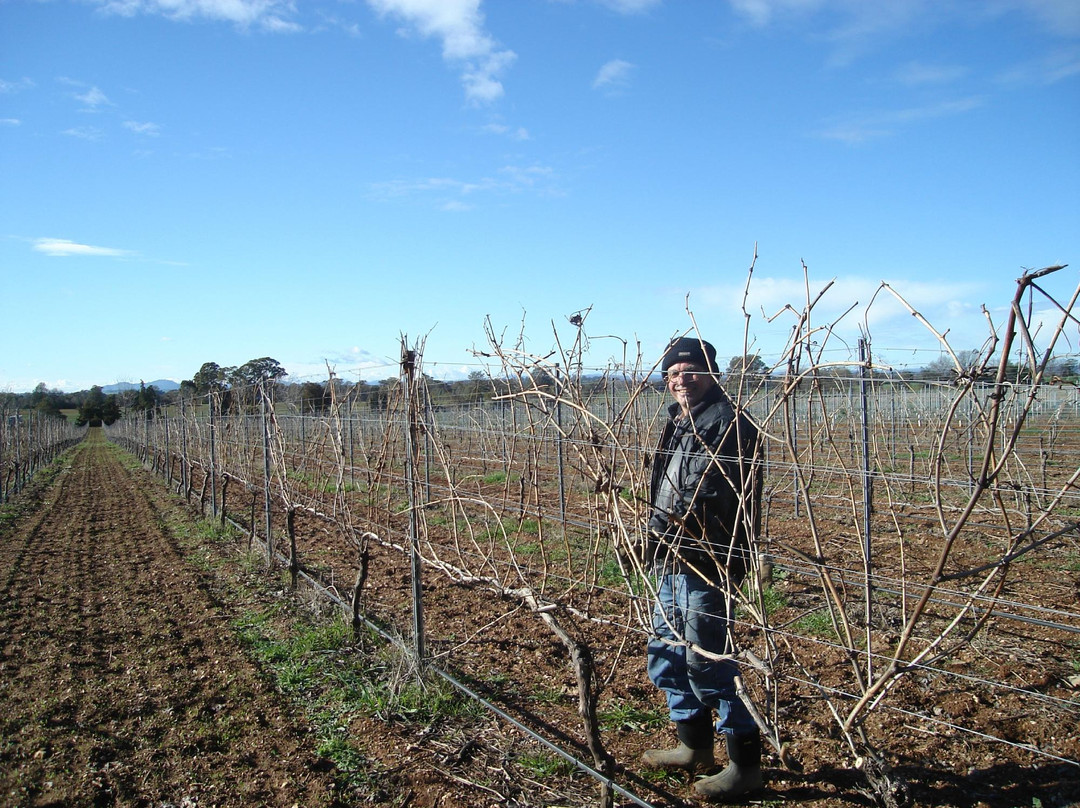 Anderson Winery景点图片