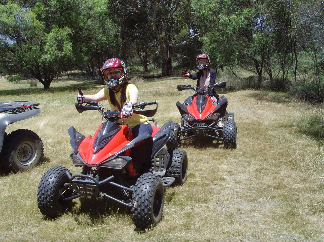 Bums On Seats Day Tours-阿德莱德必去景点