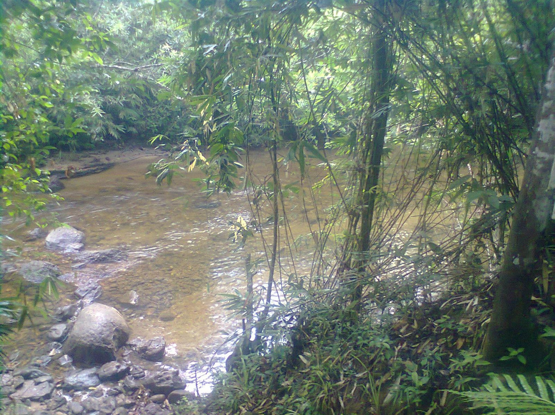 Kanneliya Forest Resort主图