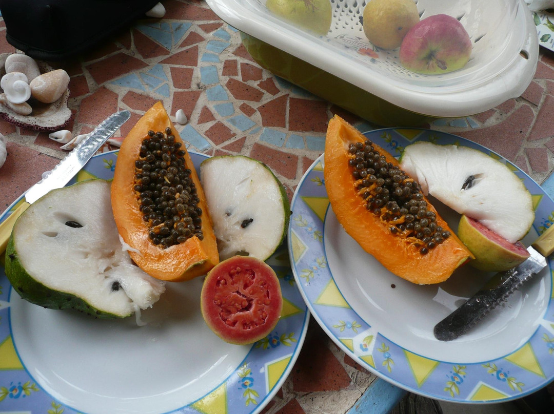 Tarrafal de Monte Trigo酒店住宿-Marina d'Tarrafal Guesthouse