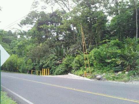 El Choyin-福德圣卡洛斯必去景点