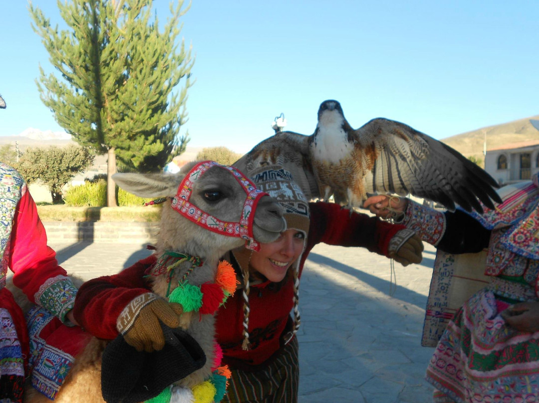 Peru Breathtaking Trips-阿雷基帕必去景点