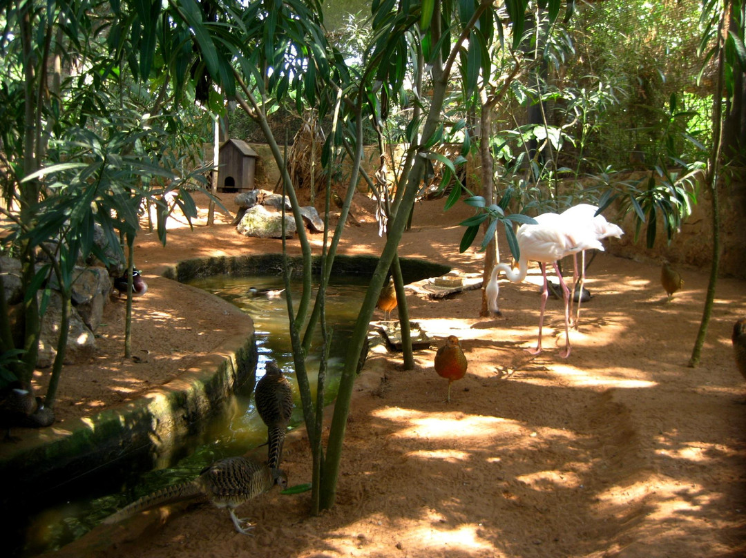 Exotic Gardens of Bouknadel-Bouknadel必去景点