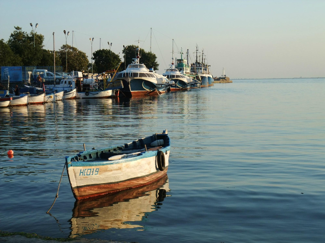 Bulgaria Fast Ferry景点图片