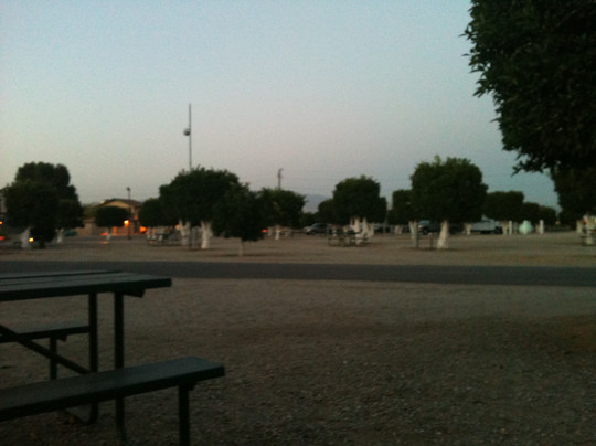 Orange Grove RV Park主图