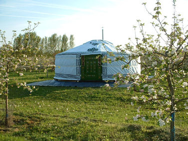 Apple Wood Glamping