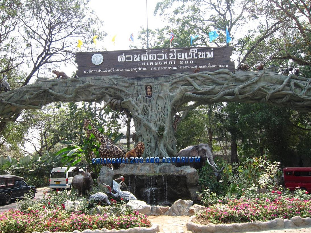 清迈动物园-清迈必去景点