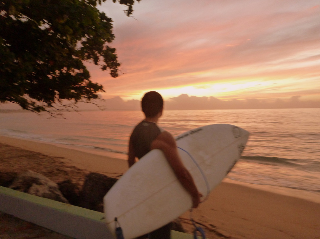 Surf 2 Live Surf Retreat-长滩必去景点