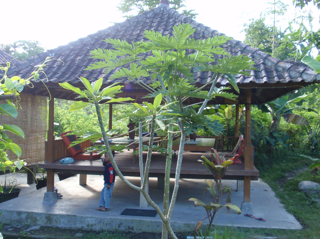 Side By Side Organic Farm-卡朗阿森必去景点