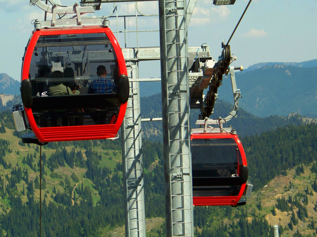 Crystal Mountain Scenic Gondola Ride景点图片