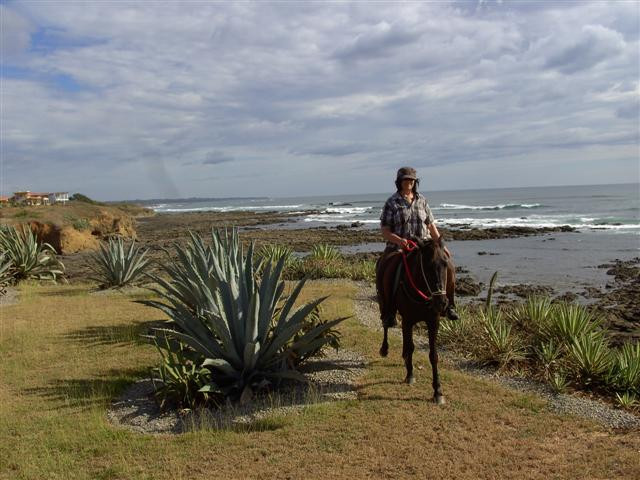 Paradise Riding - Horseback Tours景点图片