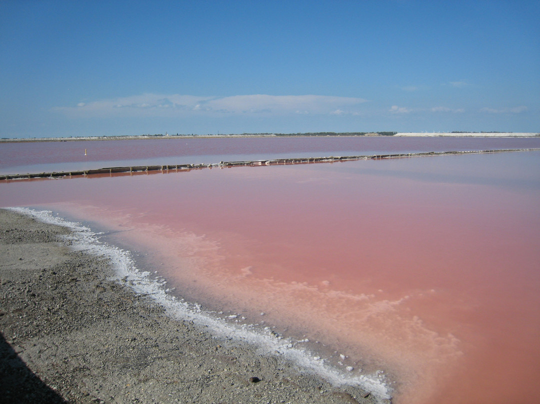 Salin d'Aigues-Mortes-艾格莫尔特必去景点