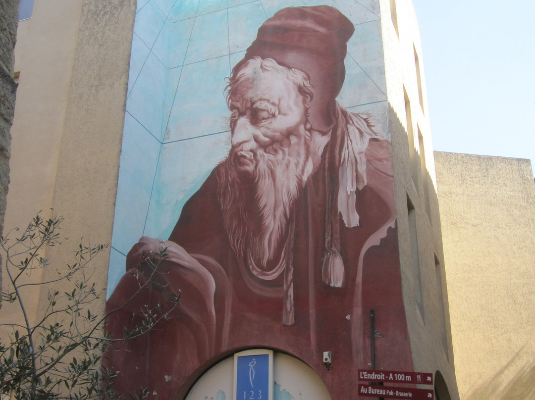 Musee Nostradamus景点图片