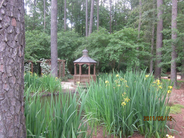 Cape Fear Botanical Garden景点图片