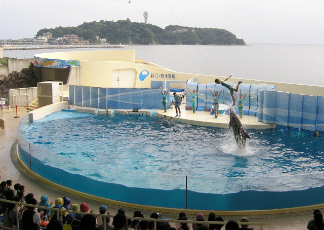 Enoshima Aquarium-藤泽市必去景点