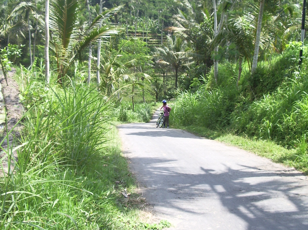 Halo Bike Cycling Tour-吉安雅必去景点