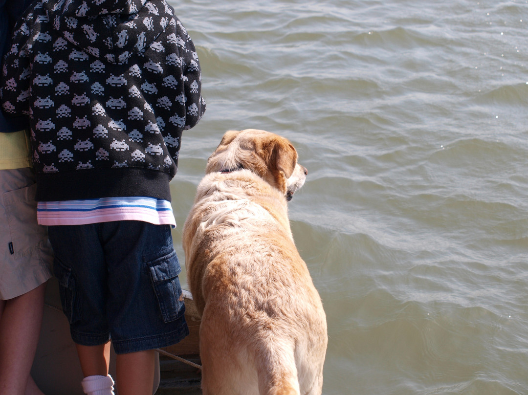 Barrier Islands Eco Tours-棕榈岛必去景点