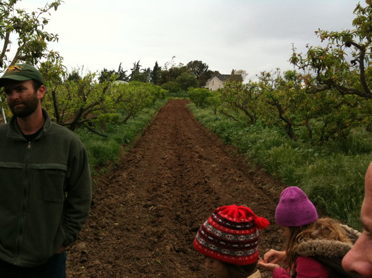 Fairview Gardens-戈利塔必去景点