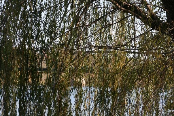 Riverwalk-奥古斯塔必去景点