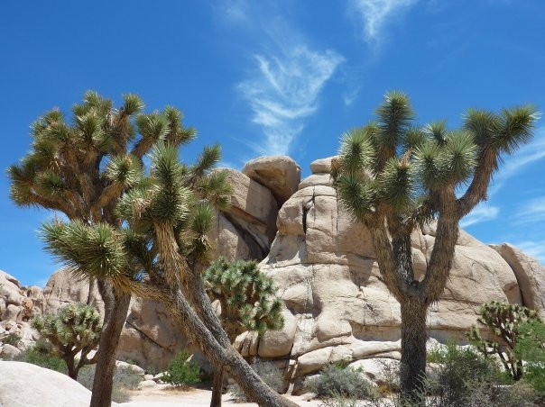 Integratron-Landers必去景点