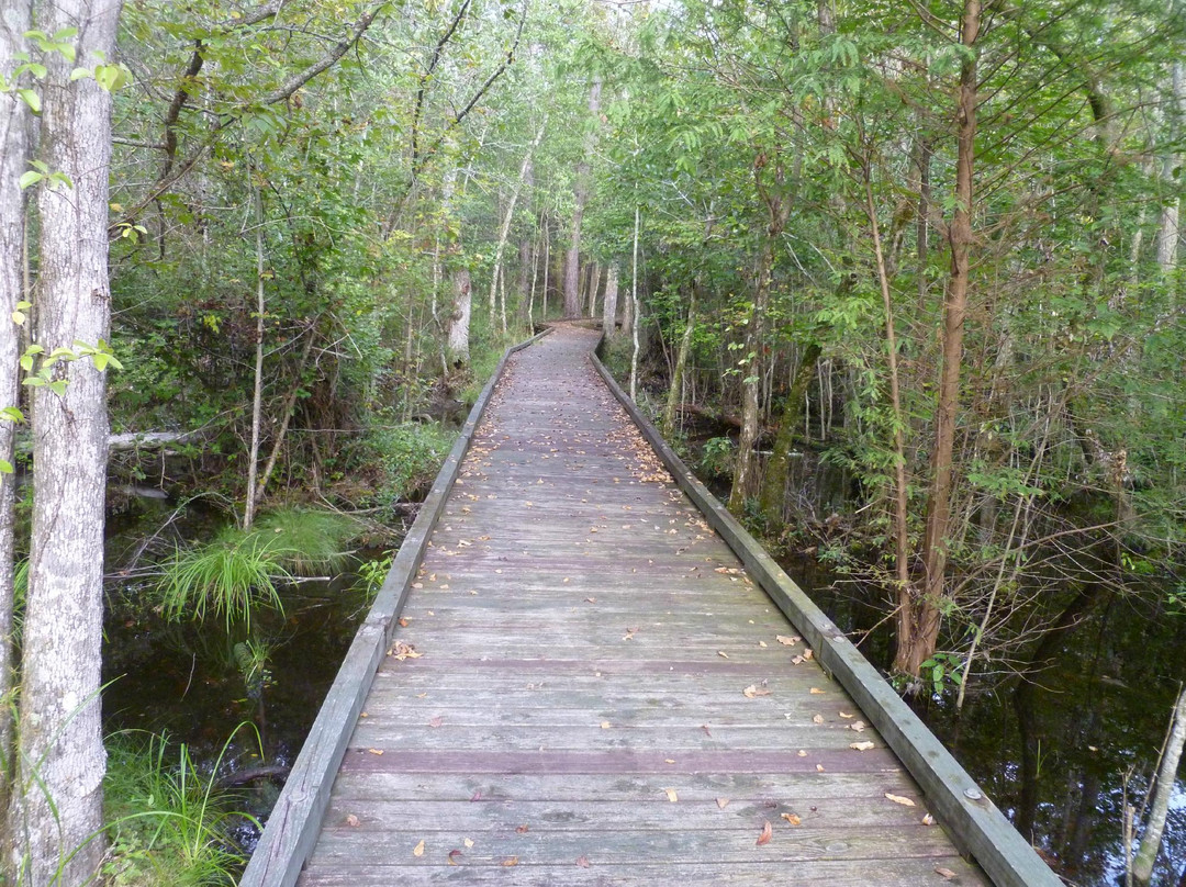 Goose Creek State Park景点图片