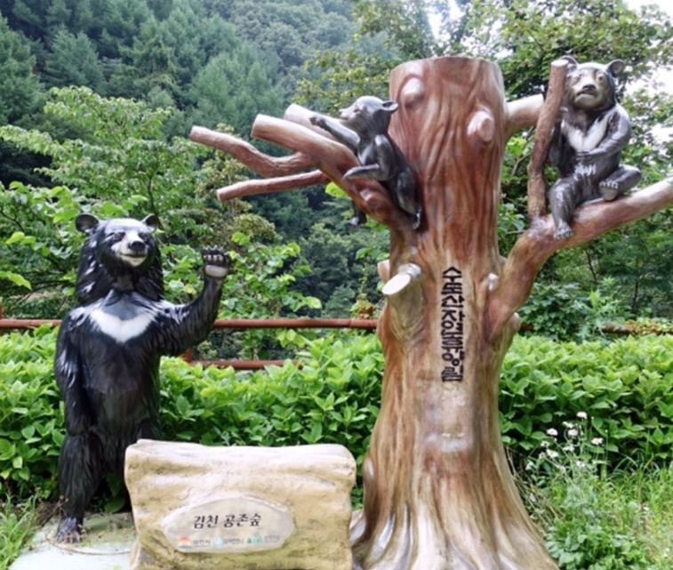 Sudosan Recreational Forest景点图片