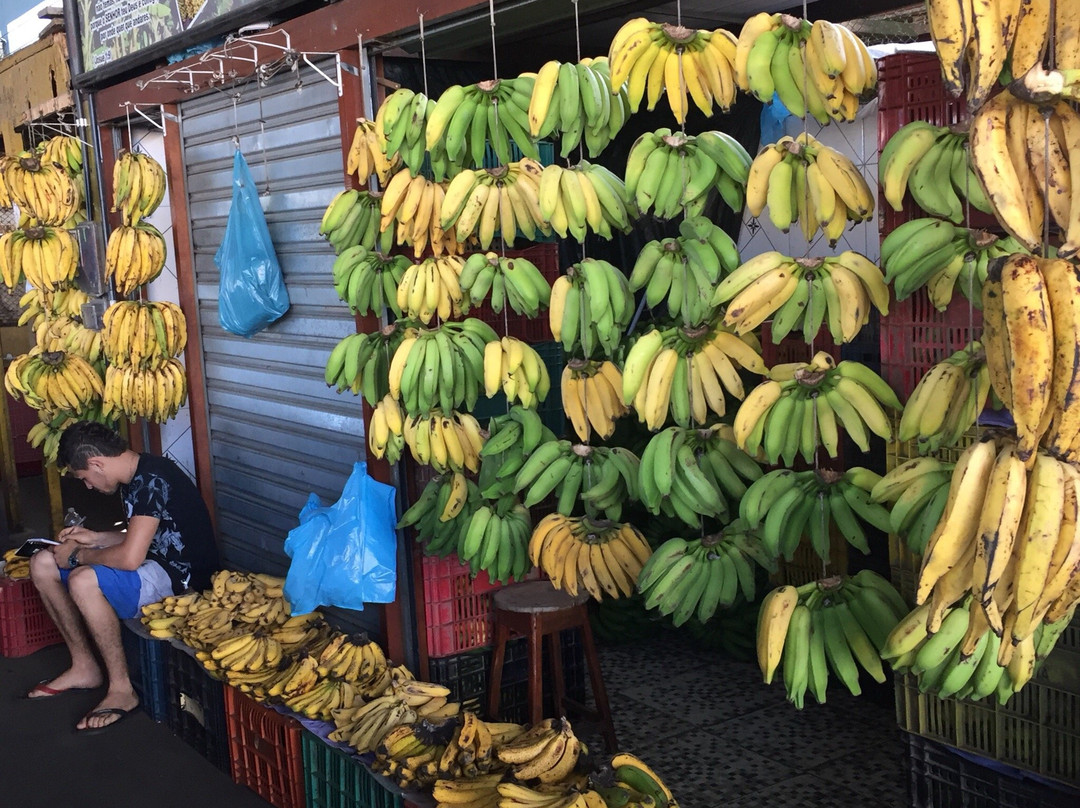 Ceasa-Vitoria da Conquista必去景点