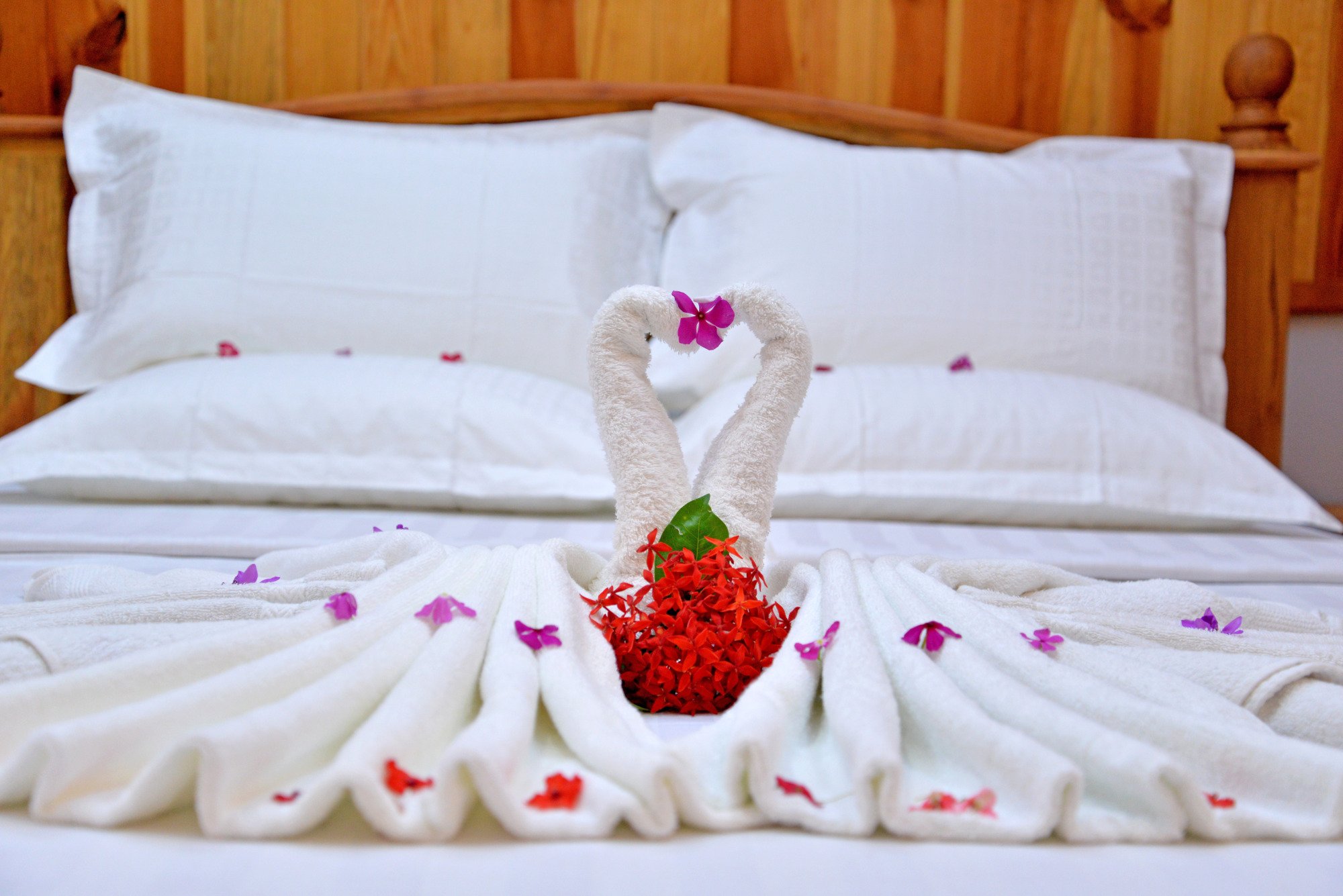 Golden Guest Hotel-官方