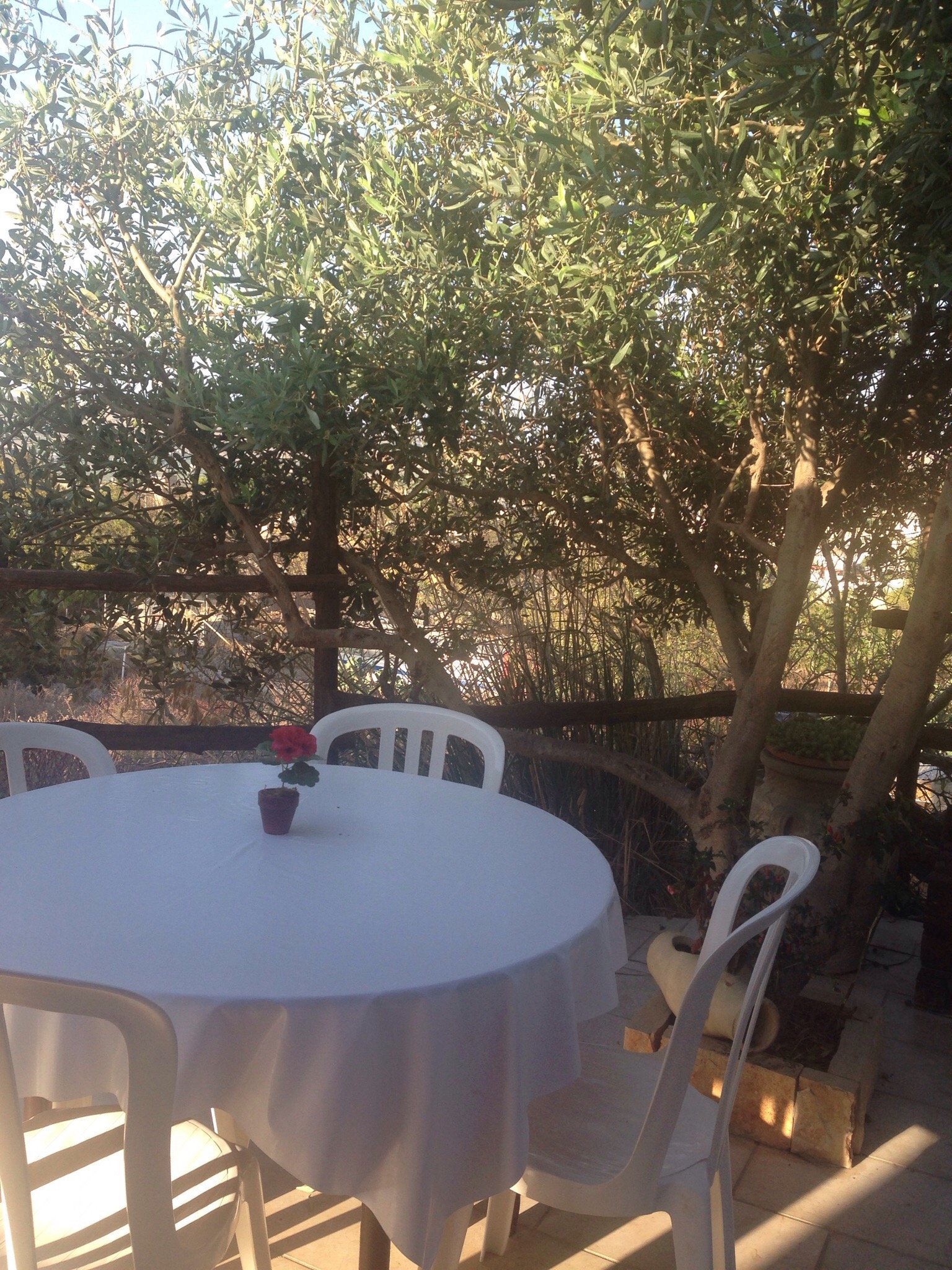 La Fattoria-酒店景观