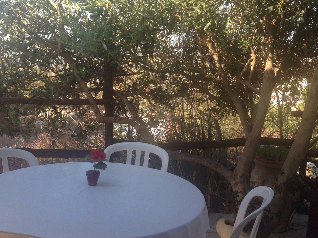 Cornino酒店住宿-La Fattoria