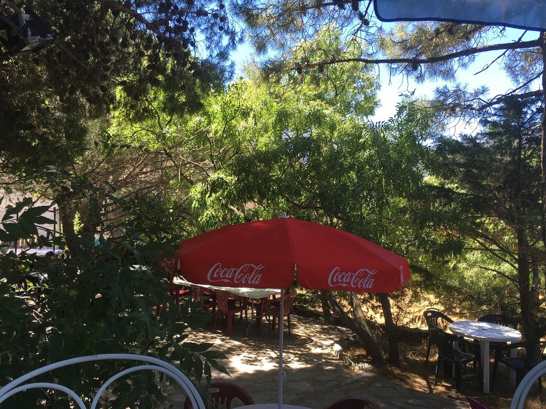 Mausoleo餐馆和美食-Osteria Restaurant