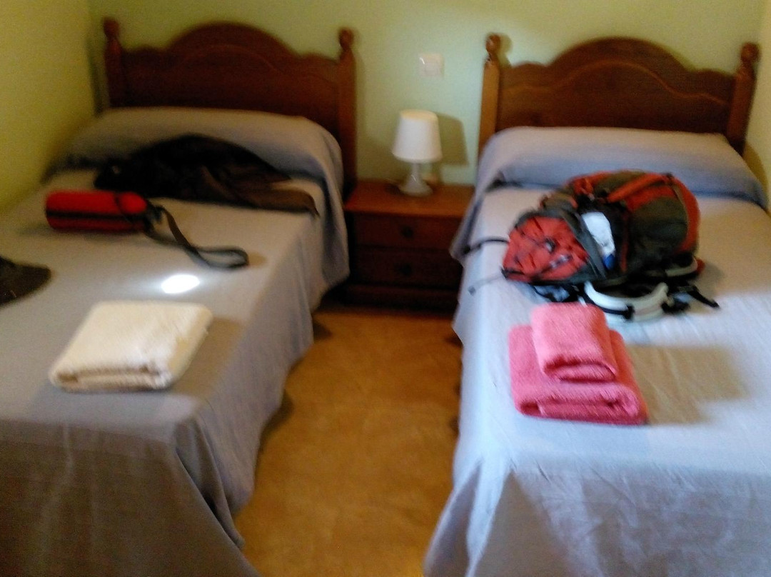 Apartamentos El Condor