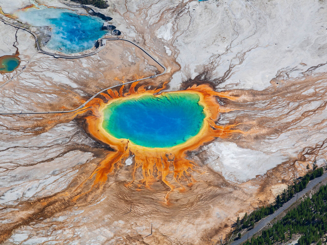 Yellowstone Safari Company