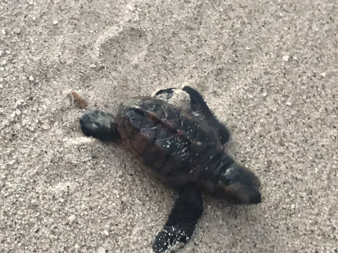 Club Deportivo del Oeste-Cabo Rojo必去景点