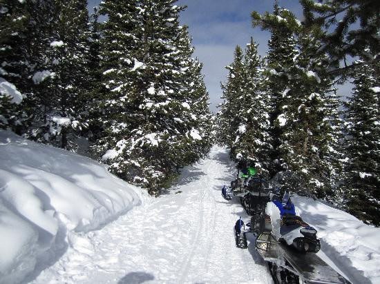Trailblazer Snowmobile Tours景点图片
