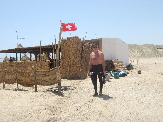 Pharaoh Dive Club-艾尔可西利亚必去景点