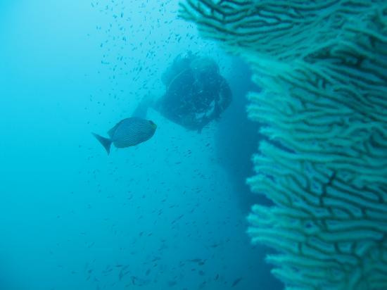 探险俱乐部-大皮皮岛必去景点