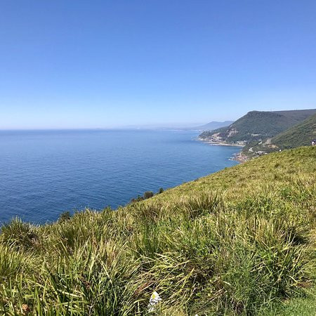 Bald Hill Lookout-悉尼必去景点