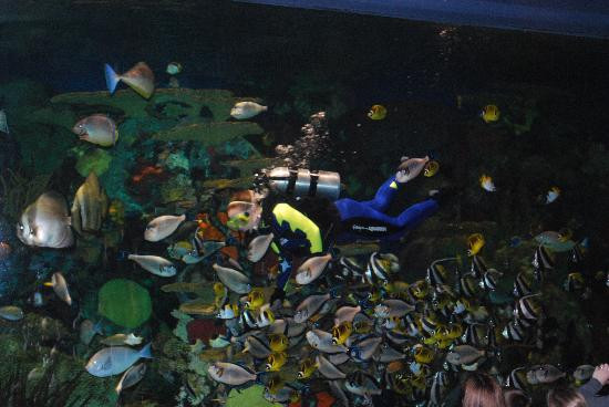 Broadway at the Beach-美特尔海滩必去景点