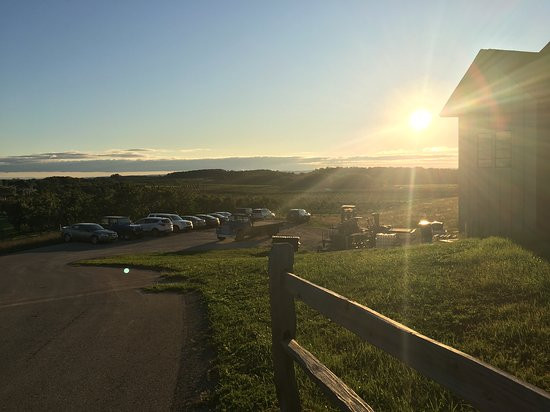 Bonobo Winery-特拉弗斯城必去景点