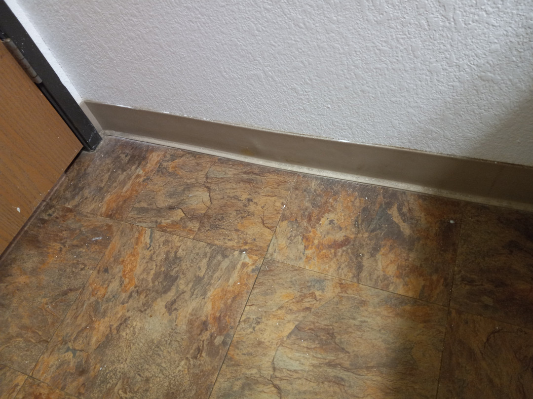 WoodSpring Suites Chesapeake-Norfolk South主图