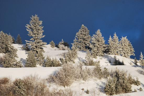 Bogus Basin Mountain Recreation Area景点图片