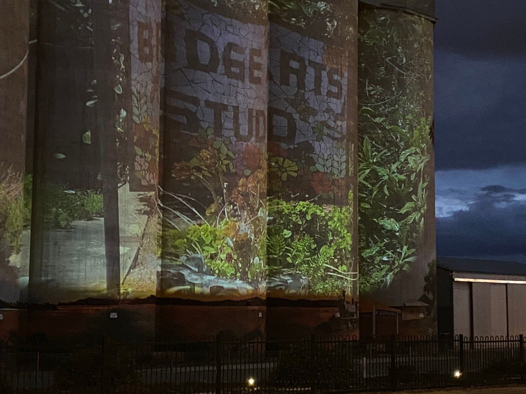 Karoonda Silo Art-Karoonda必去景点