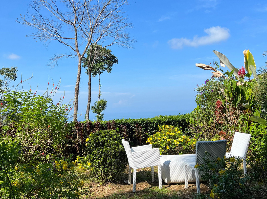 Oxygen Jungle Villas & Spa主图