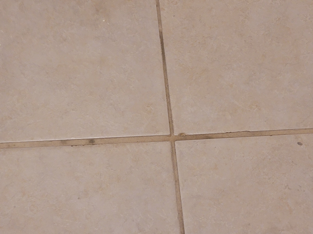 Wyndham Garden Guadalajara Acueducto主图