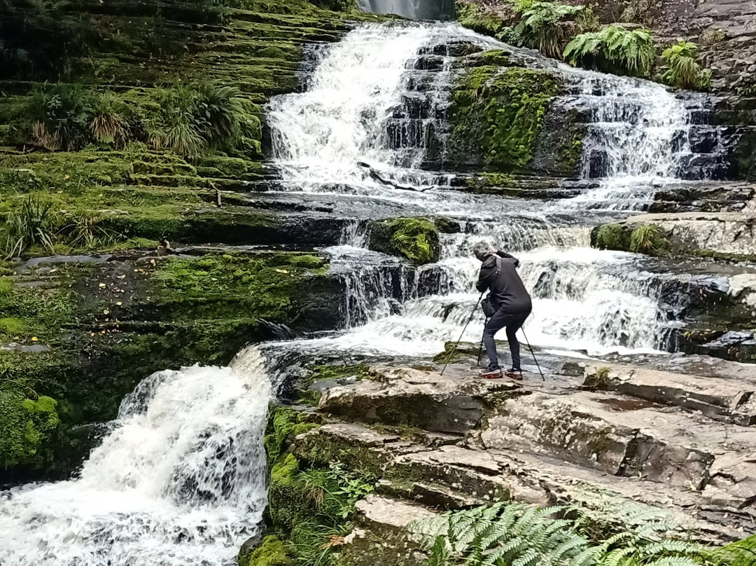 McLean Falls Walk景点图片