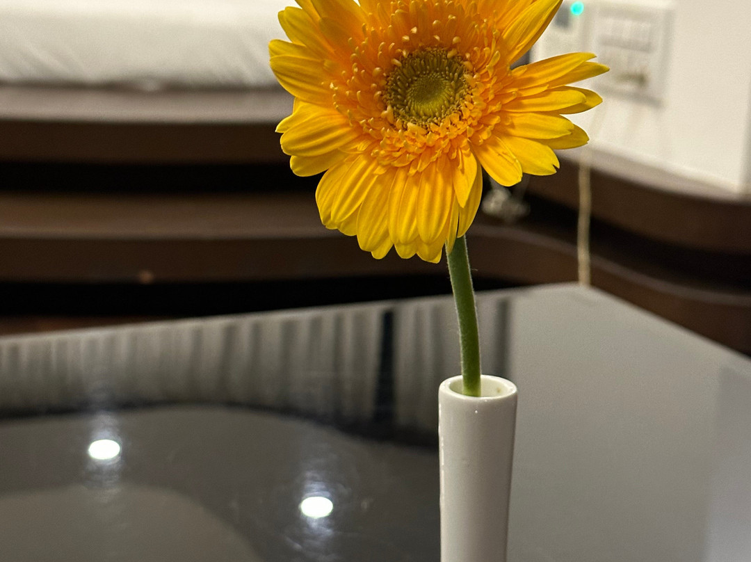 Cocoon Luxury Business Hotel主图