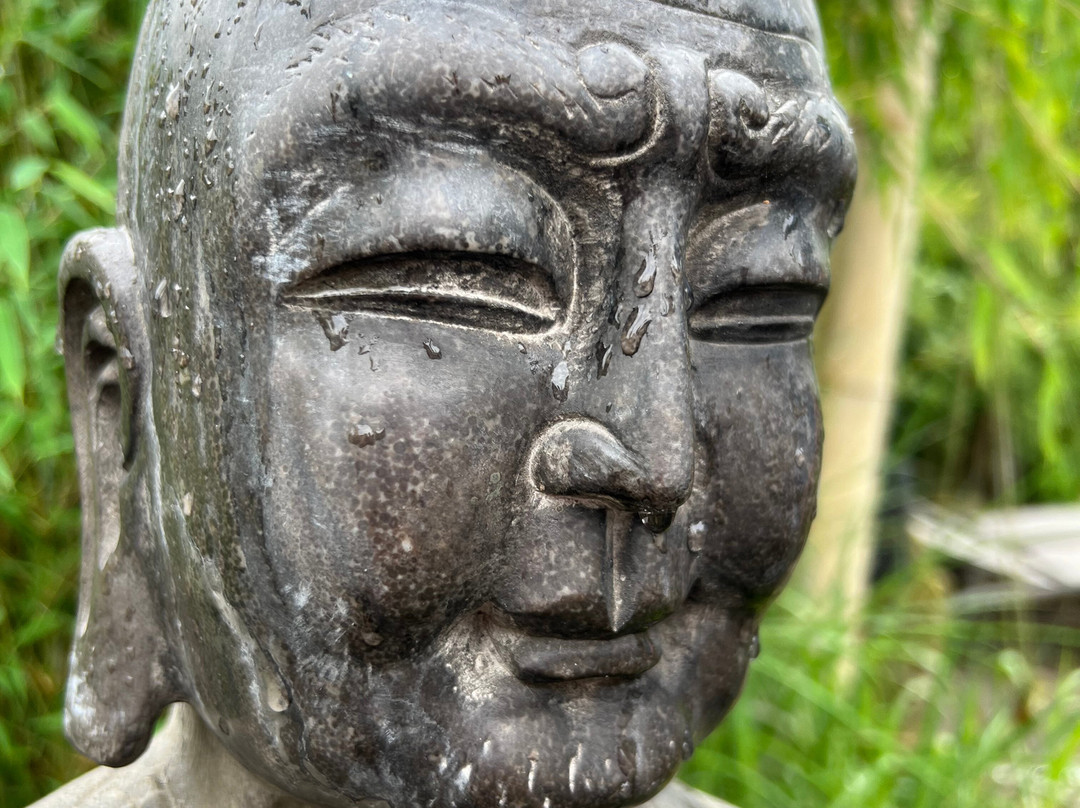 Lil'o Bambous景点图片