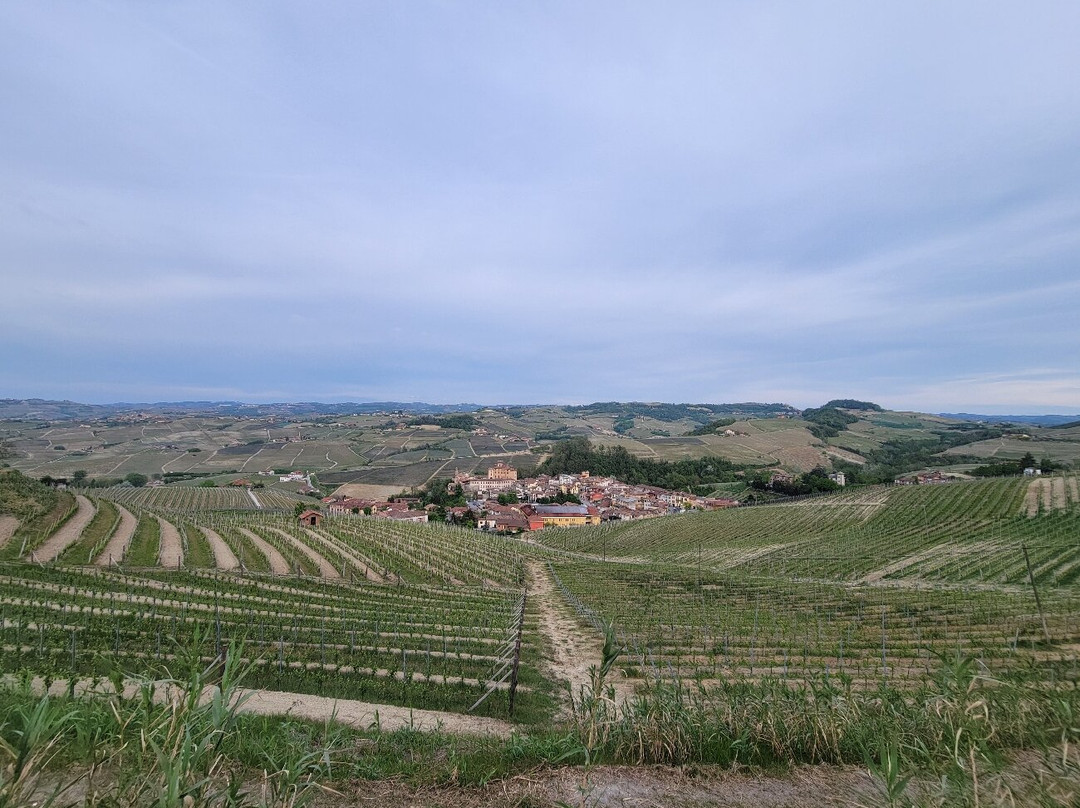 Travel Langhe  Wine Tours-Neive必去景点